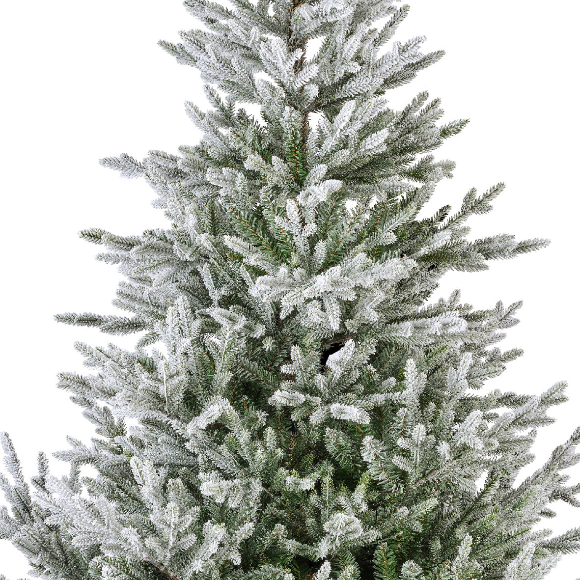 Norway Spruce Snowy - Green / White 8 FT