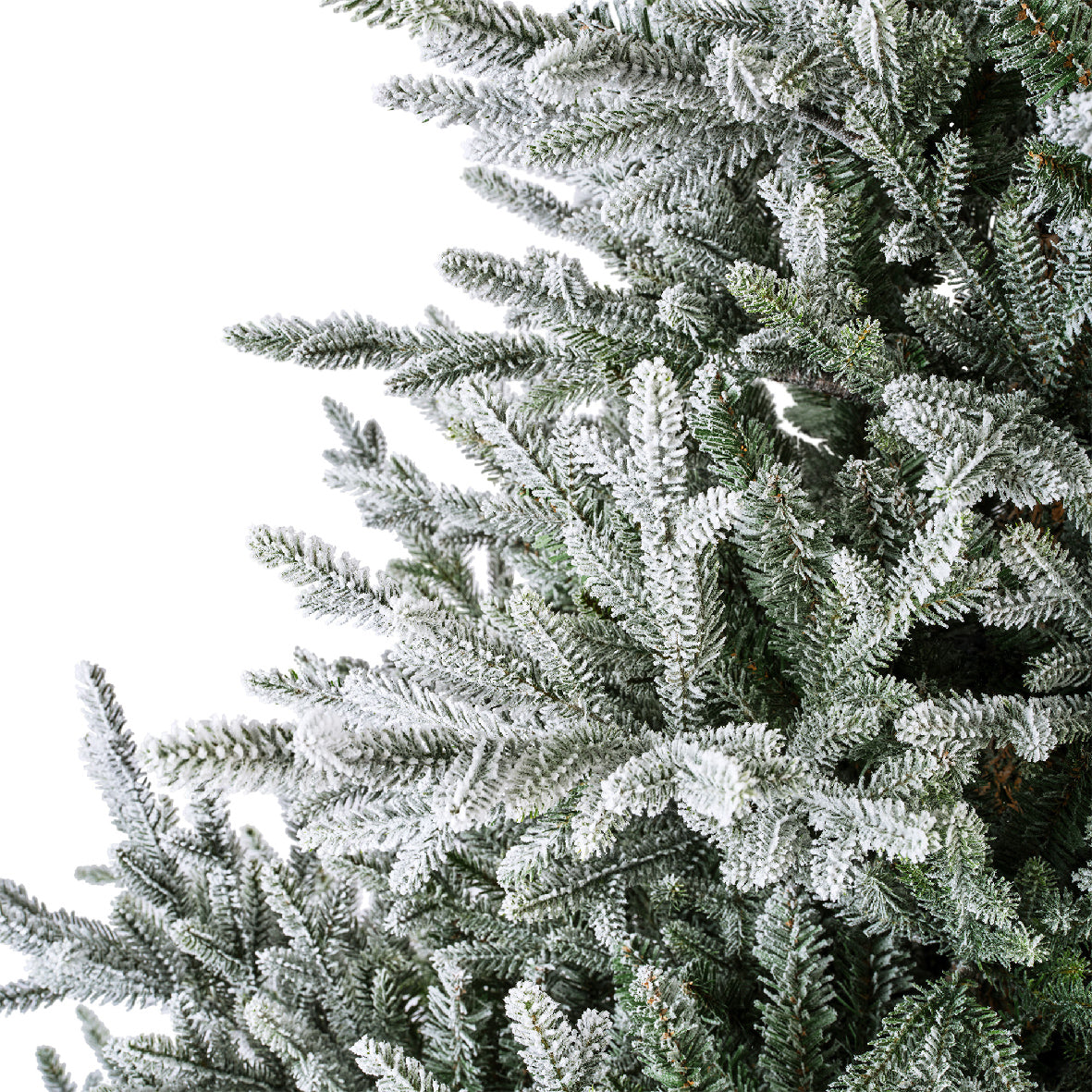 Norway Spruce Snowy - Green / White 8 FT