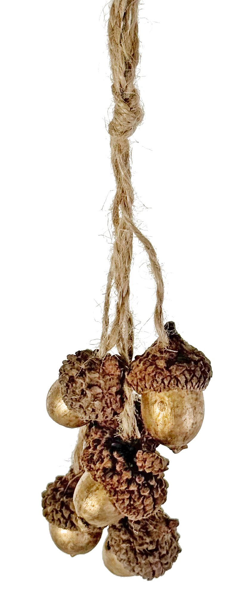 Acorn bundle x 6 ornament gold 12cm