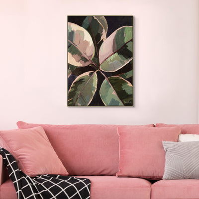 Ficus