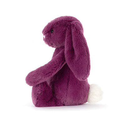 Little Bashful Allium Bunny