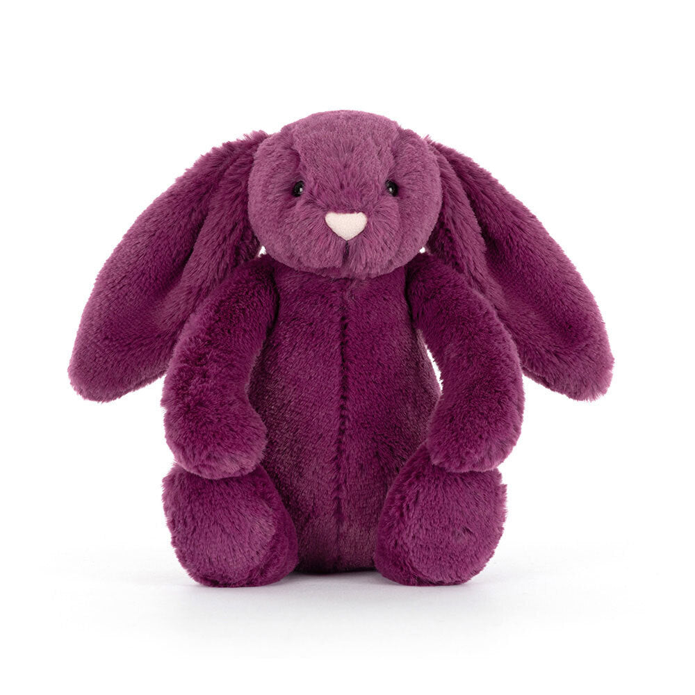 Little Bashful Allium Bunny