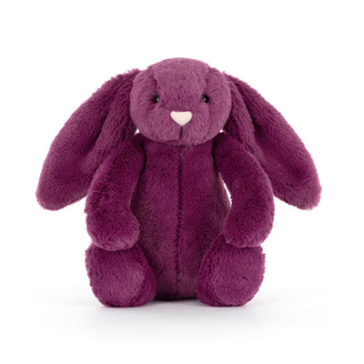 Little Bashful Allium Bunny