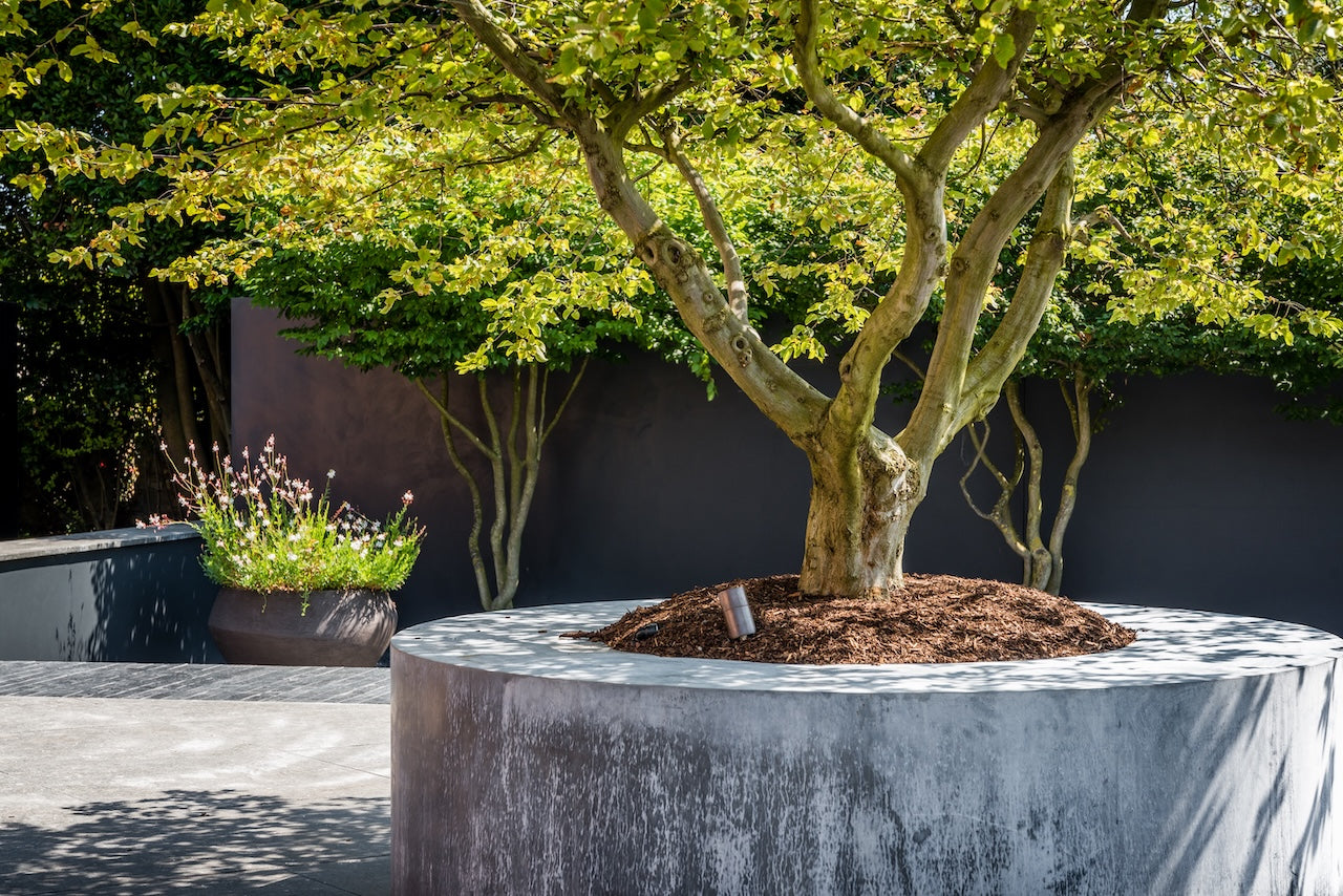 Garden Design Consultation