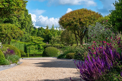 Garden Design Consultation