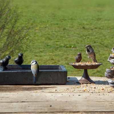 Bird Bath Terrazzo Square