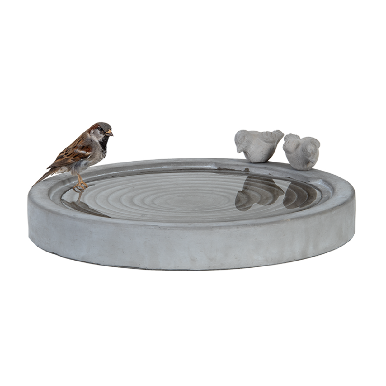 Bird Bath Concrete XL