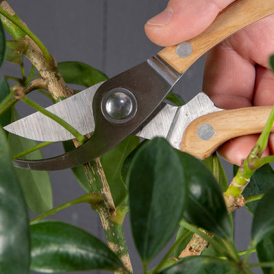 Giftset Garden Pruning Tools