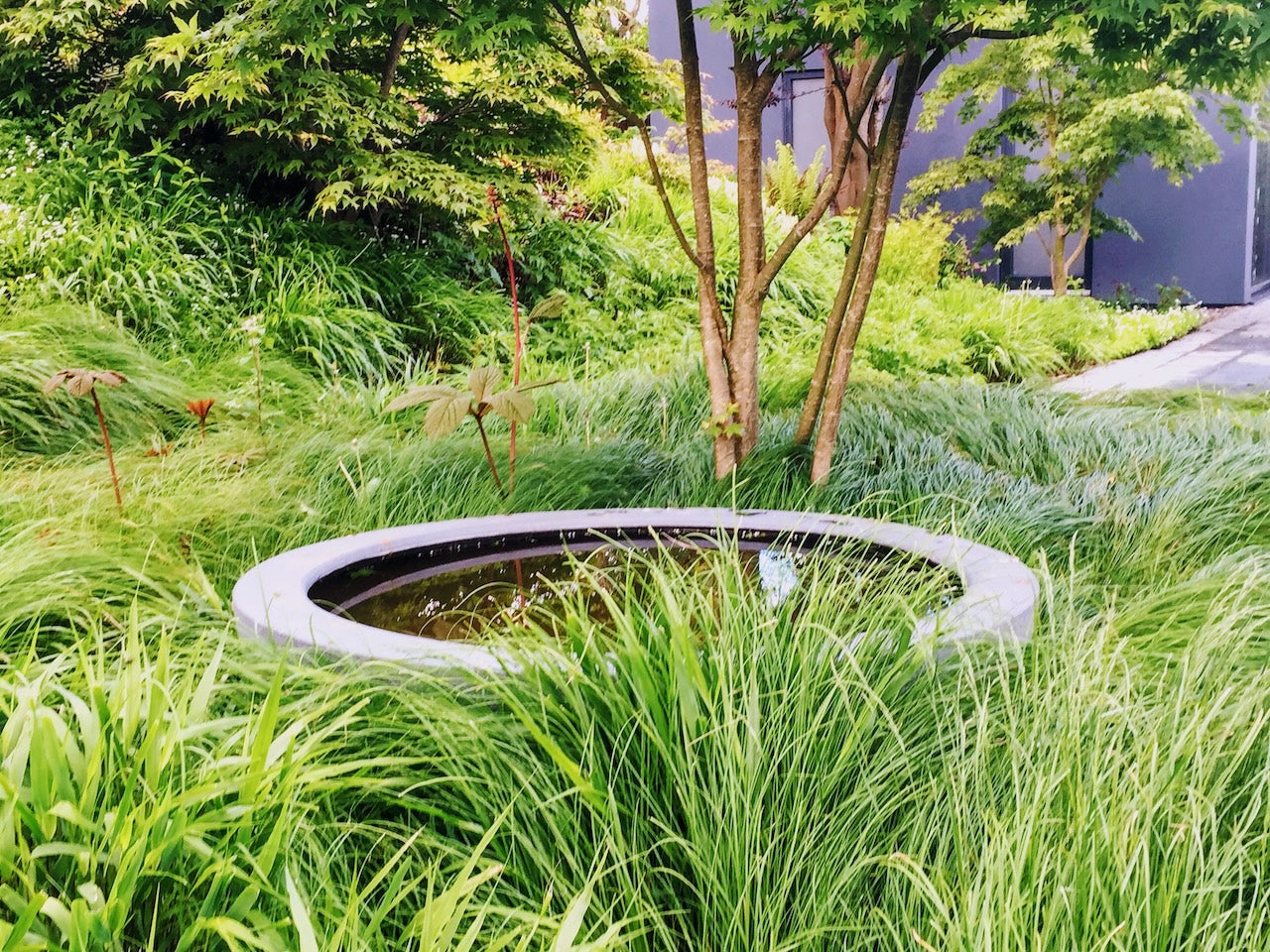 Garden Design Consultation