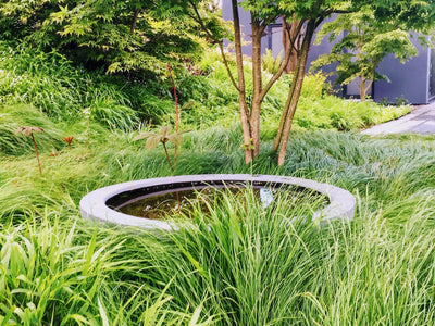 Garden Design Consultation