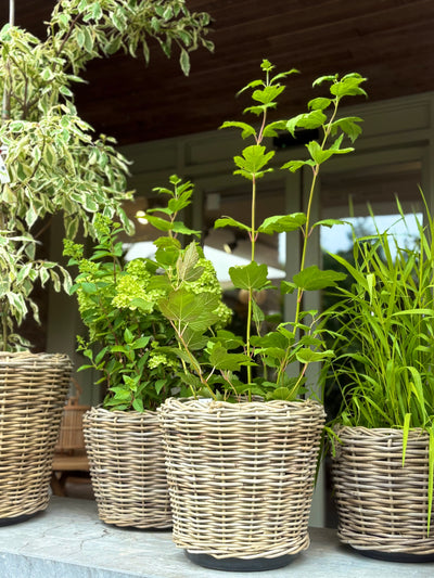Drypot Cylinder Rattan Grey