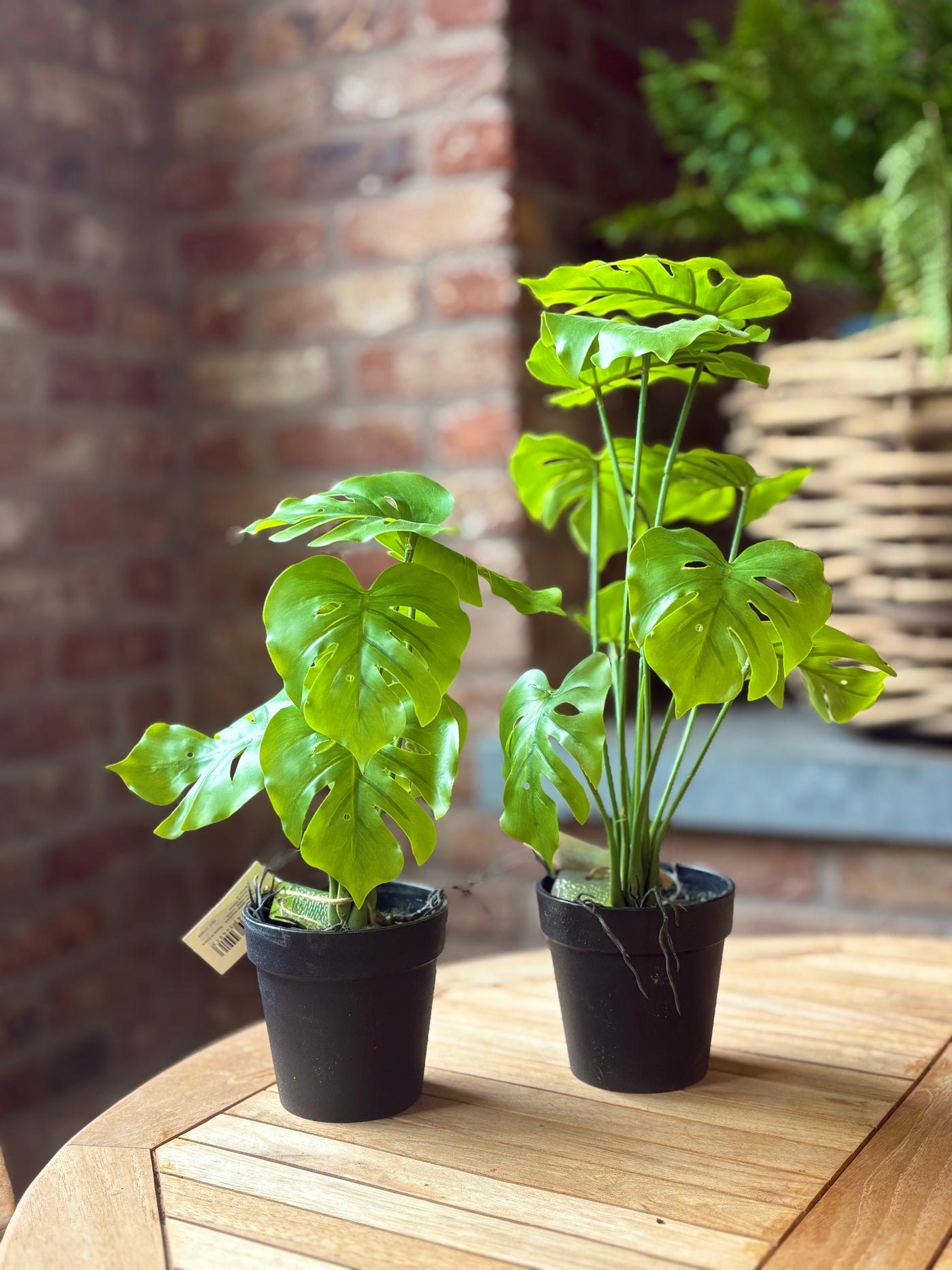 Artificial Monstera Plant Green