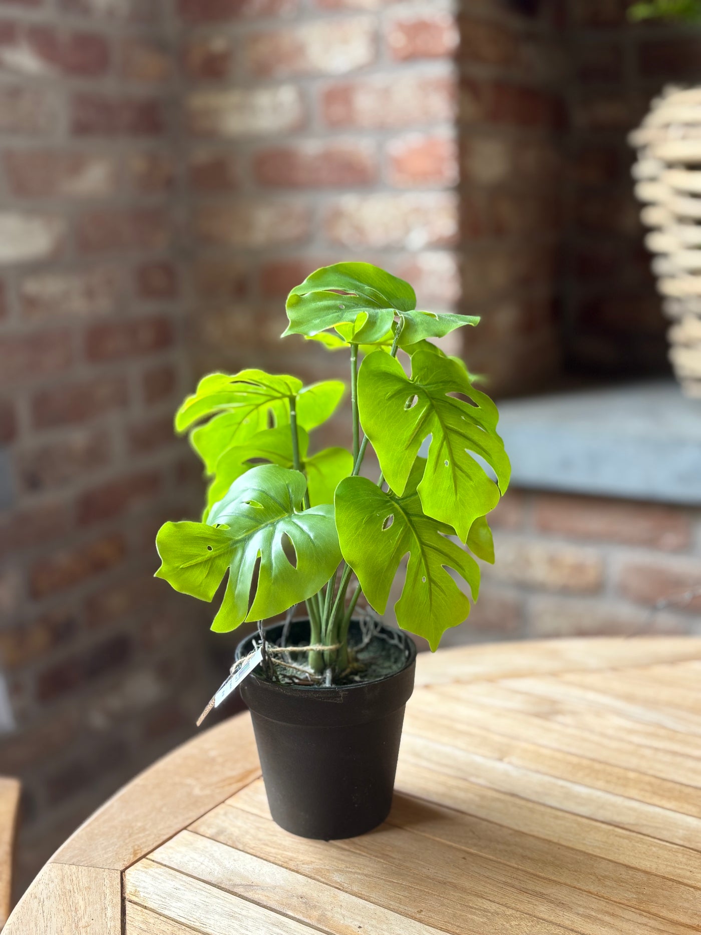 Artificial Monstera Plant Green
