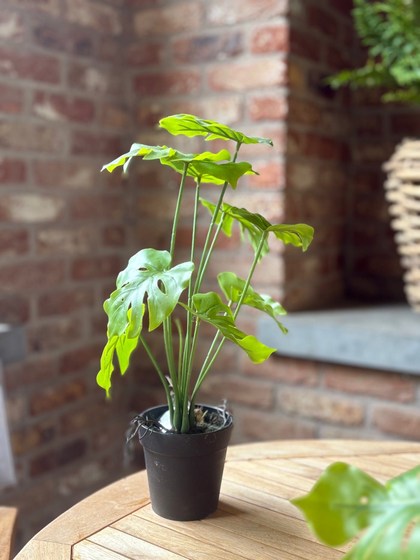 Artificial Monstera Plant Green
