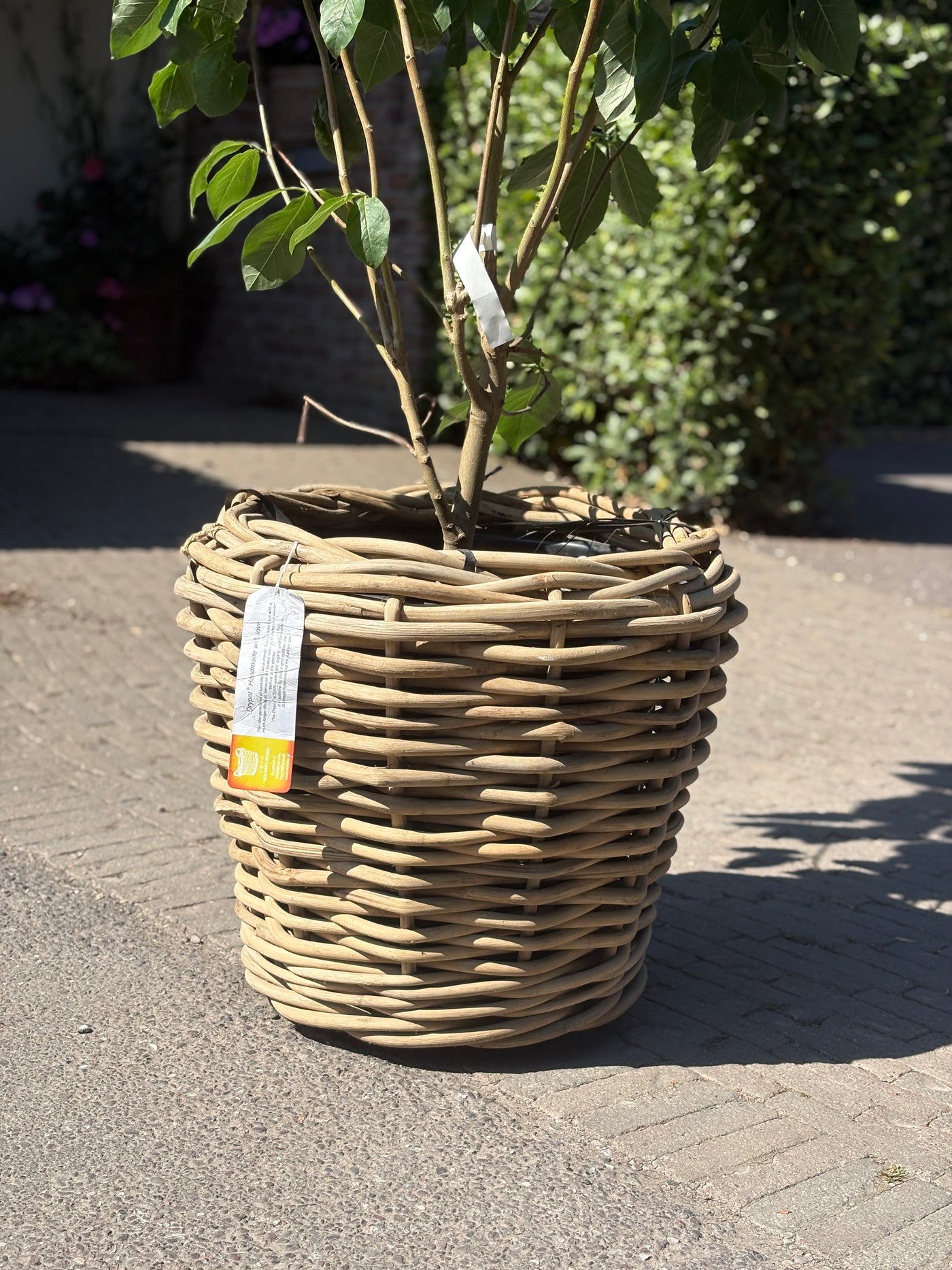 Drypot Cylinder Rattan Grey on Wheels