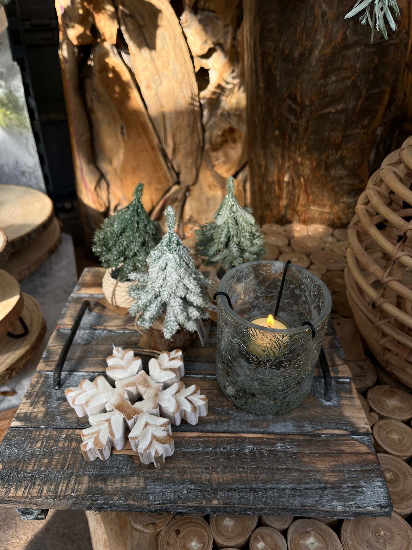 Enchanted Winter Forest Collection