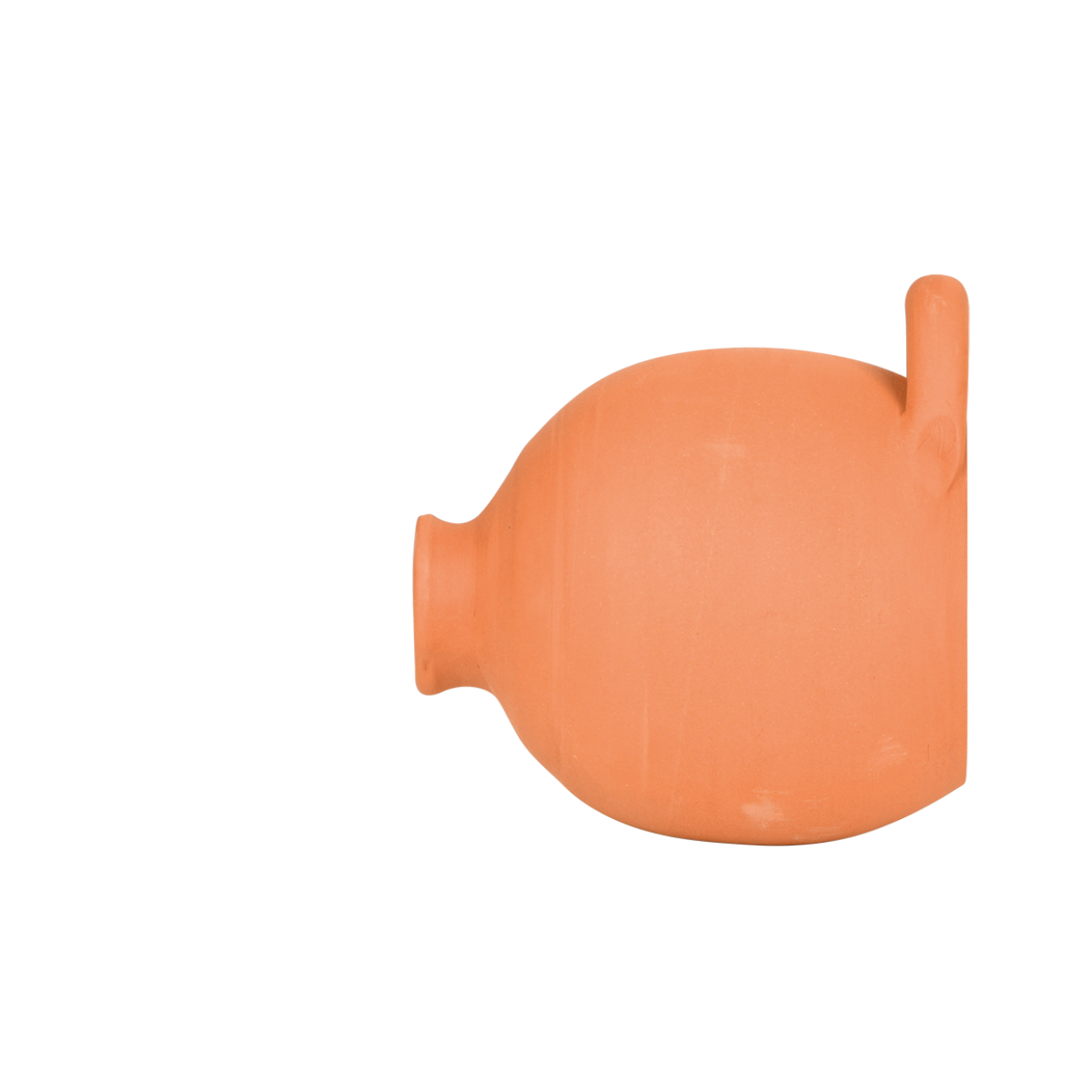 Bird Nesting Bottle Tits/Sparrows