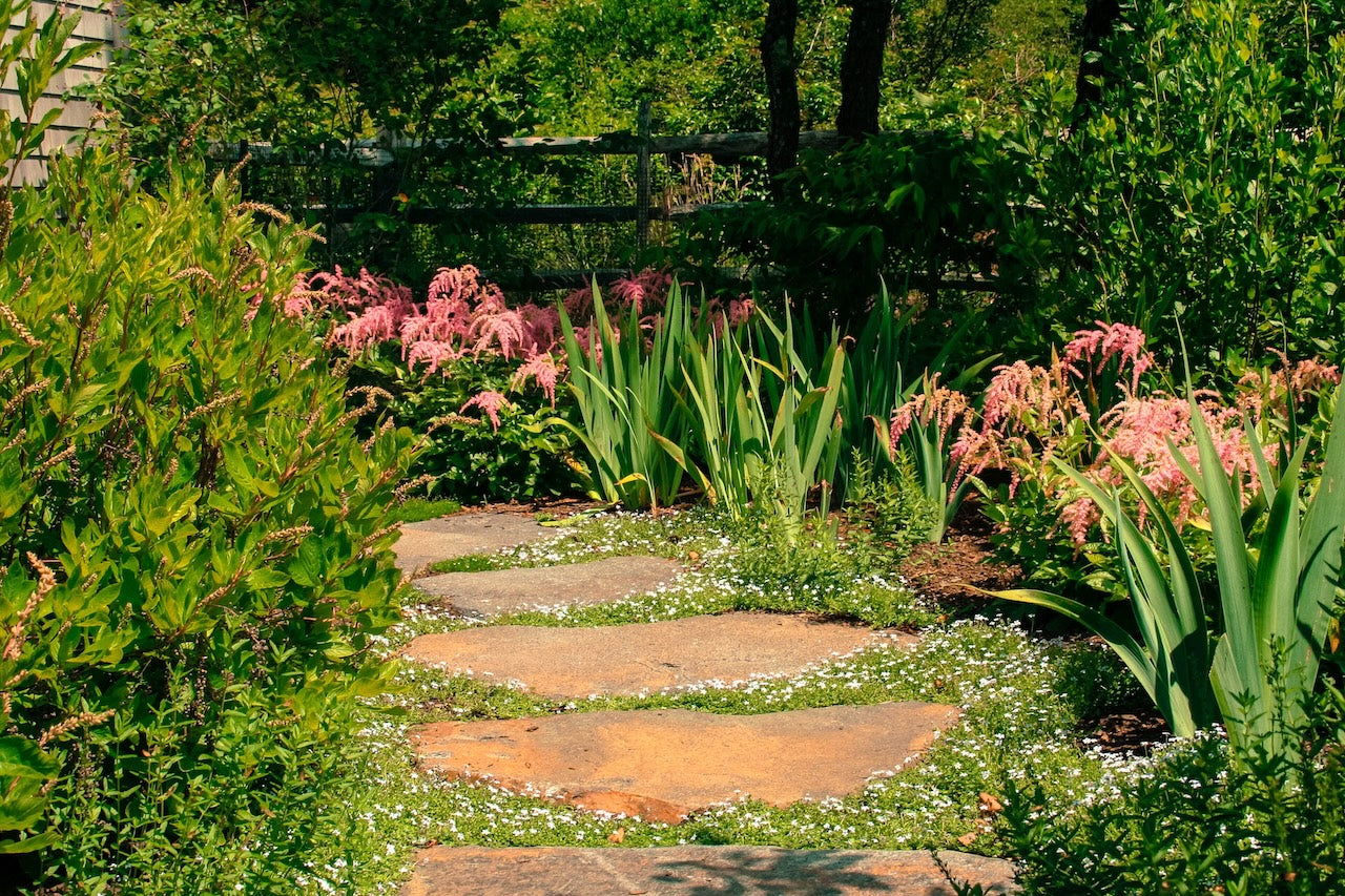 Garden Design Consultation