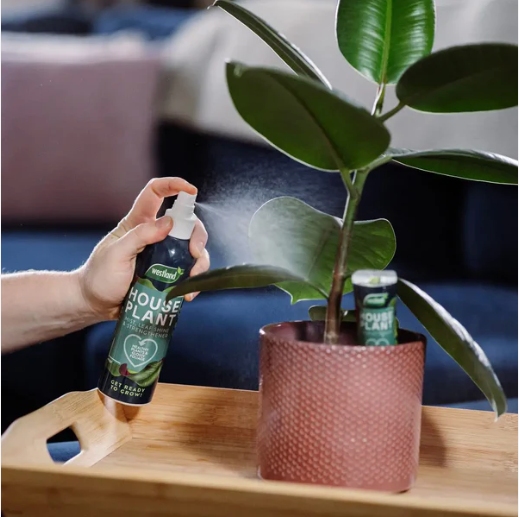 Westland Houseplant Mist & leaf Shine 250ml