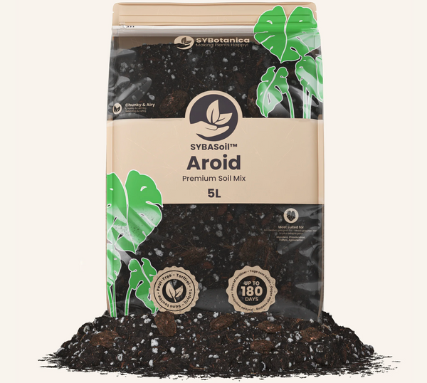 Aroid Mix (Monstera e.t.c.) 5L
