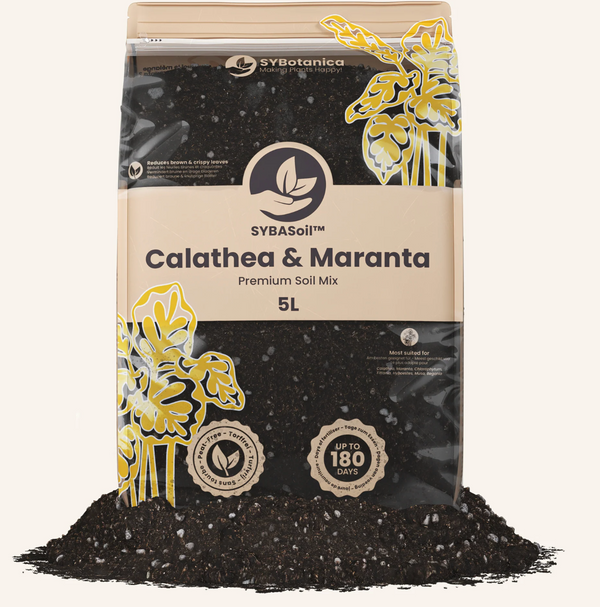 Calathea & Maranta Mix 5L-Most suited for;Calathea, Lilies, Chlorophytum, Begonia, Strelitzia...