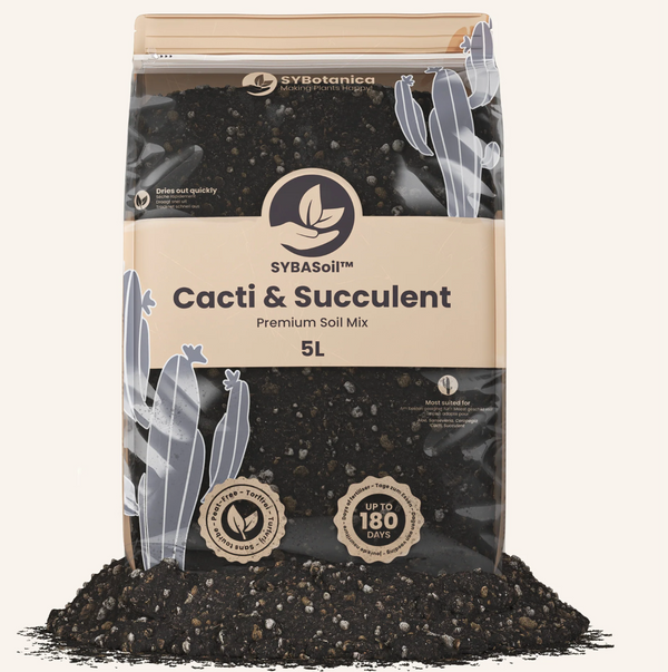 Cacti & Succulent Mix 5L