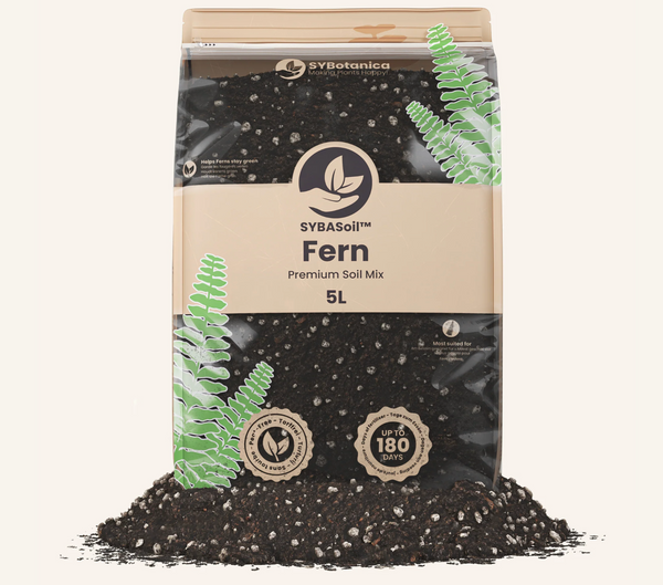 Fern Mix 5L