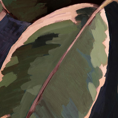 Ficus