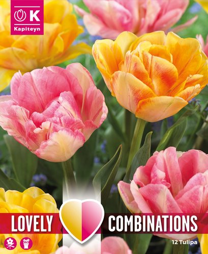 Combi Tulipa Duopack Orange & Pink