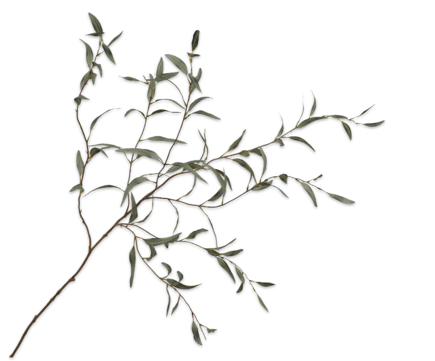 Eucalyptus Spray Green 123cm