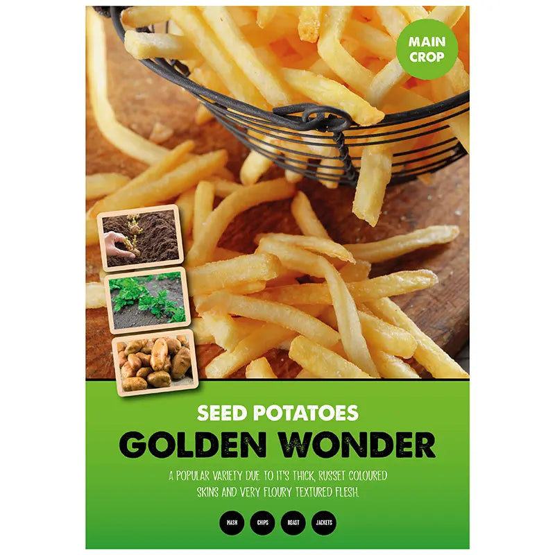 Golden Wonder Seed Potatoes - 2kg 35-60mm