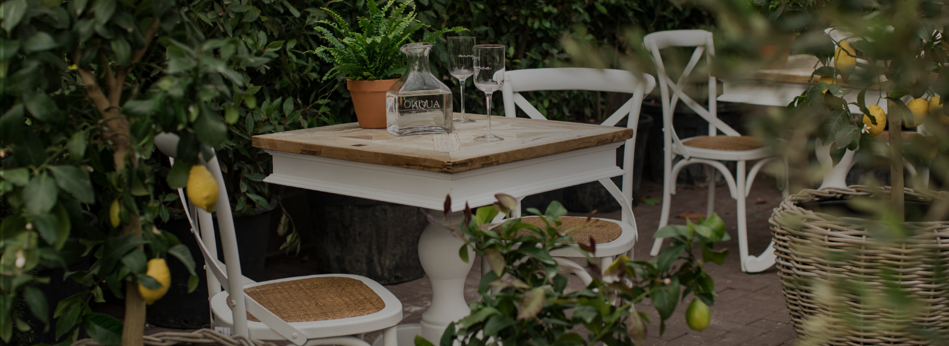 Pavilion Restaurant Cork The Glasshouse Restaurants Cork City The Pavilion