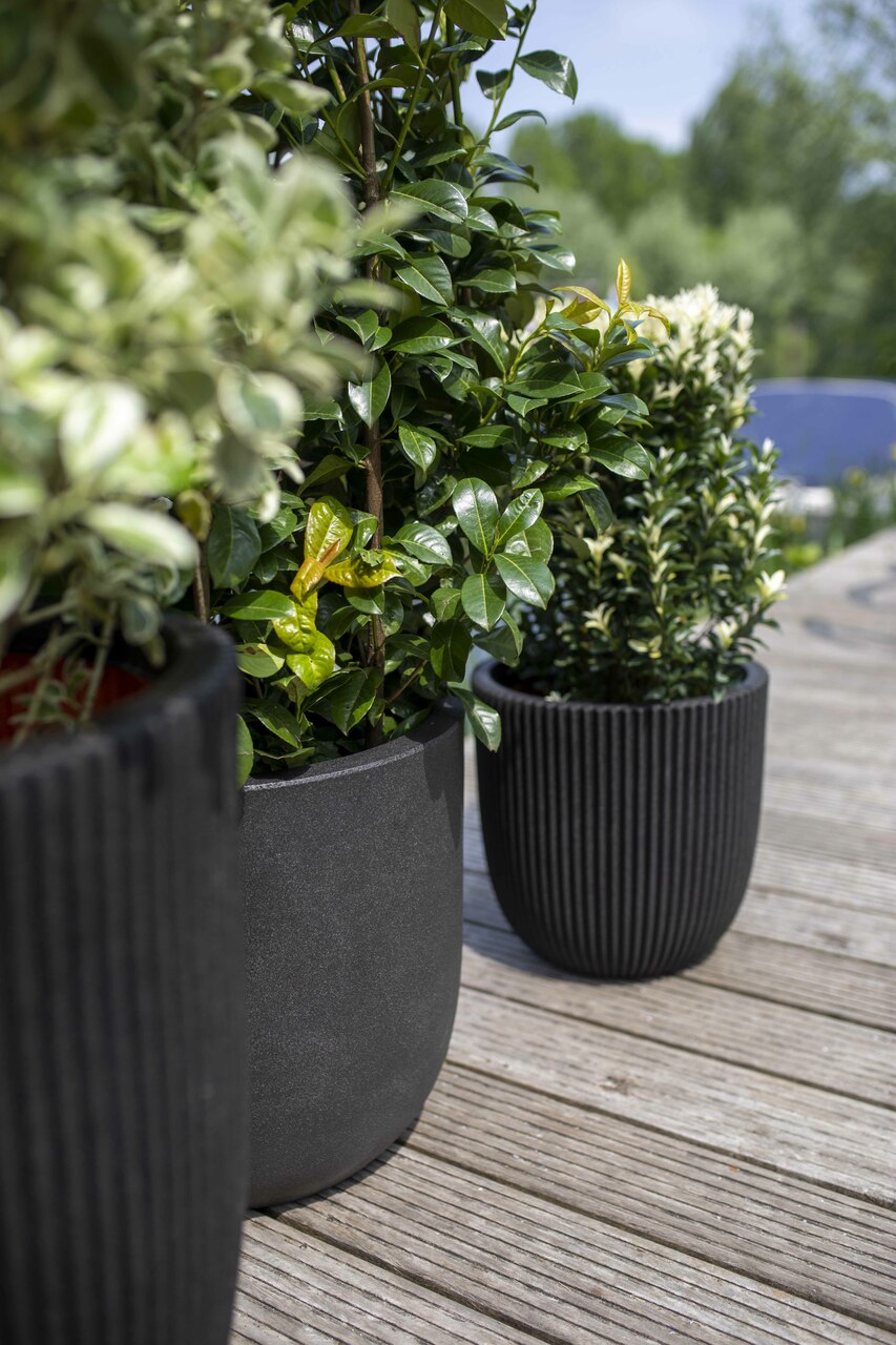 Planter Ball Groove NL Black