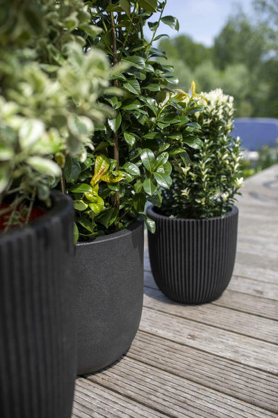 Planter Ball Groove NL Black