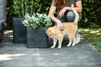 Planter Square Rib NL Black
