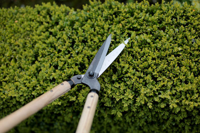 Niwaki Garden Shears • Standard