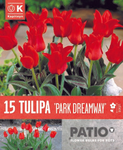 Tulipa Park Dreamway