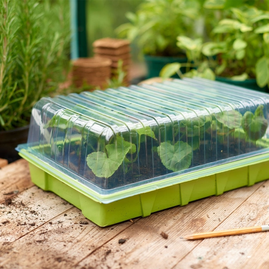 Grow It Standard Seed Tray Lid