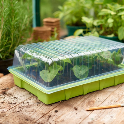 Grow It Standard Seed Tray Lid
