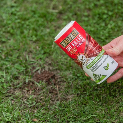Deadfast Ant Killer Plus Powder 150g ROI