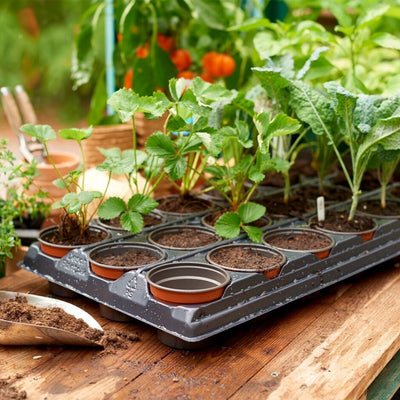 Grow It Growing Tray with 18 Round Pots