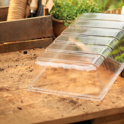 Grow It Standard Seed Tray Lid