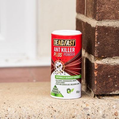Deadfast Ant Killer Plus Powder 150g ROI