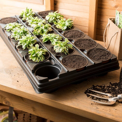 Grow It Growing Tray with 18 Round Pots