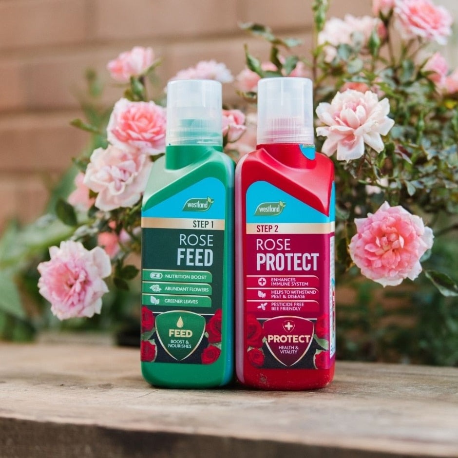 Westland Rose Feed & Protect 2x 500ml