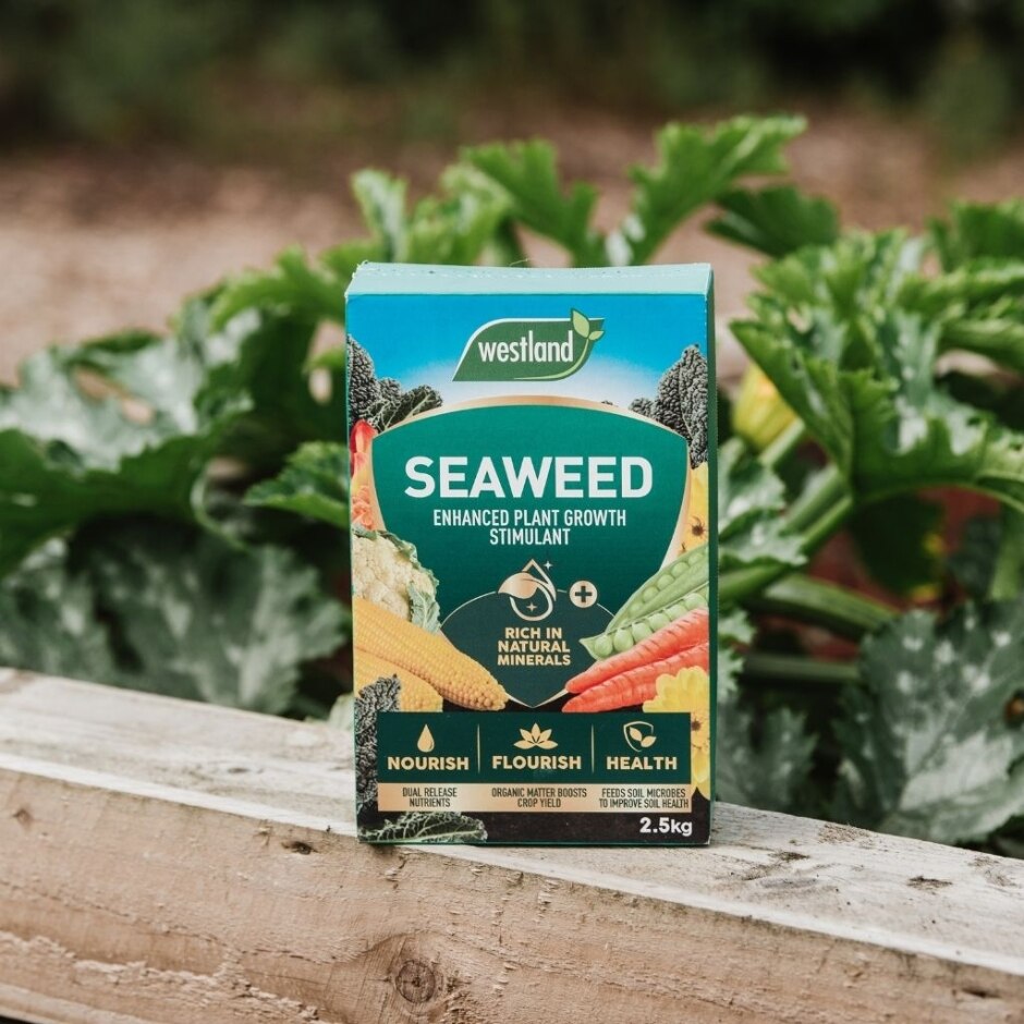 Westland Seaweed Enhanced Plant Food 2.5kg