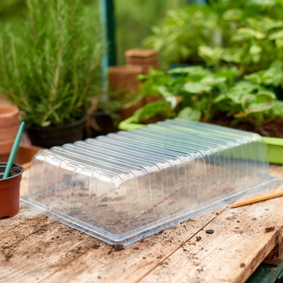 Grow It Standard Seed Tray Lid