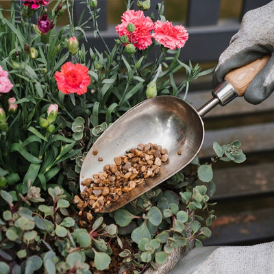 Kent & Stowe Stainless Steel Potting Scoop