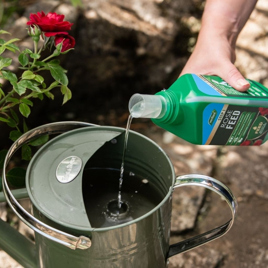 Westland Rose Feed & Protect 2x 500ml