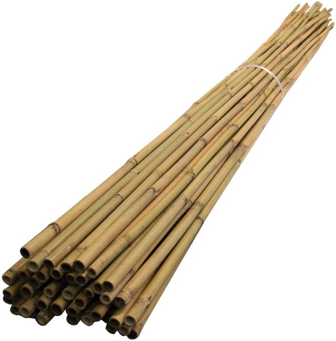 Bamboo Canes 4FT (Pack of 10)